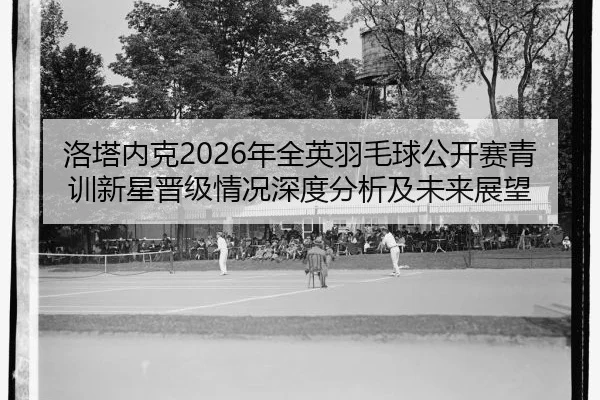 luo-ta-nei-ke-nian-quan-ying-yu-mao-qiu-gong-kai-sai-qing-xun-xin-xing-jin-ji-qing-kuang-shen-du-fen-xi-ji-wei-lai-zhan-2-155.jpg
